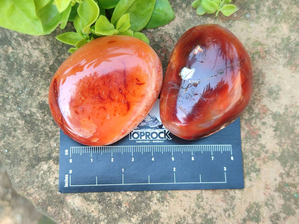 Polished Carnelian Agate Gemstone Galets x 20 From Madagascar - Toprock Gemstones and Minerals 