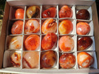 Polished Carnelian Agate Gemstone Galets x 20 From Madagascar - Toprock Gemstones and Minerals 