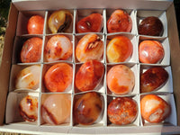 Polished Carnelian Agate Gemstone Galets x 20 From Madagascar