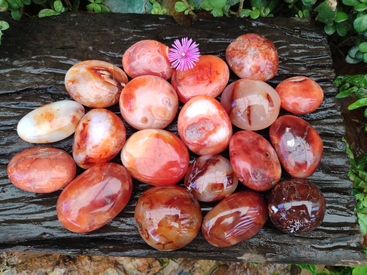 Polished Carnelian Agate Gemstone Galets x 20 From Madagascar - Toprock Gemstones and Minerals 