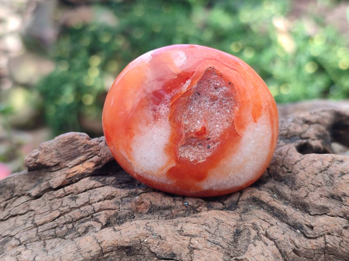 Polished Carnelian Agate Gemstone Galets x 20 From Madagascar - Toprock Gemstones and Minerals 