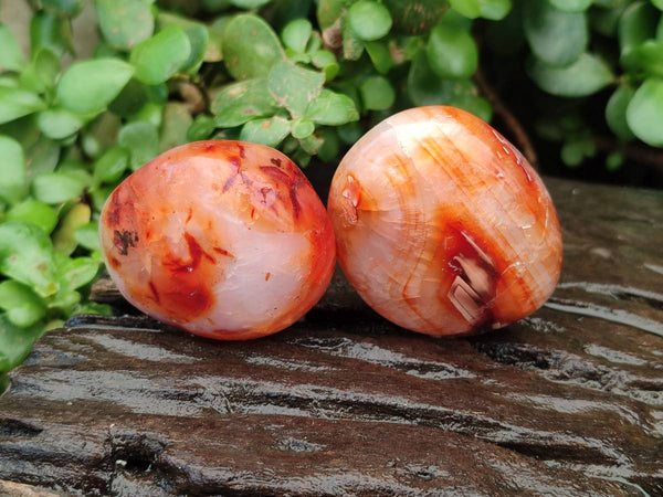 Polished Carnelian Agate Gemstone Galets x 20 From Madagascar