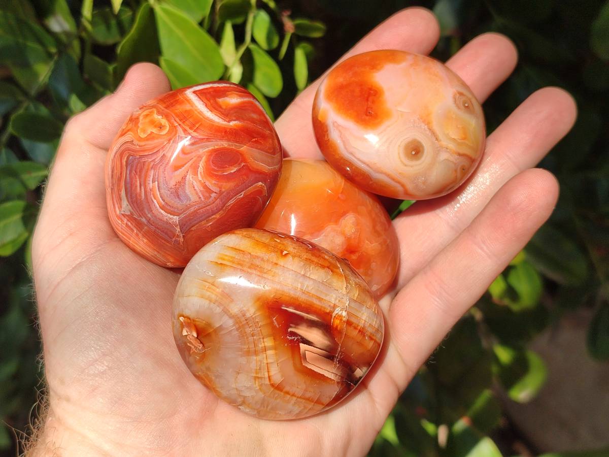 Polished Carnelian Agate Gemstone Galets x 20 From Madagascar - Toprock Gemstones and Minerals 