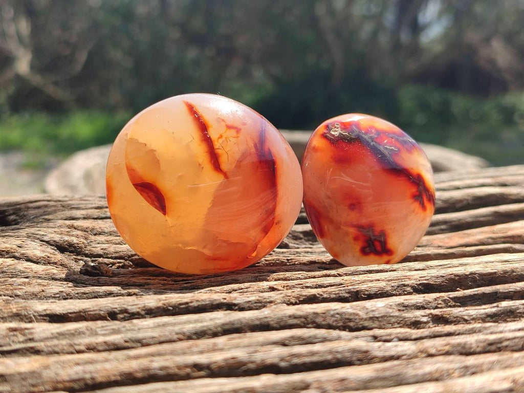 Polished Carnelian Agate Gemstone Galets x 20 From Madagascar - Toprock Gemstones and Minerals 