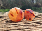 Polished Carnelian Agate Gemstone Galets x 20 From Madagascar - Toprock Gemstones and Minerals 