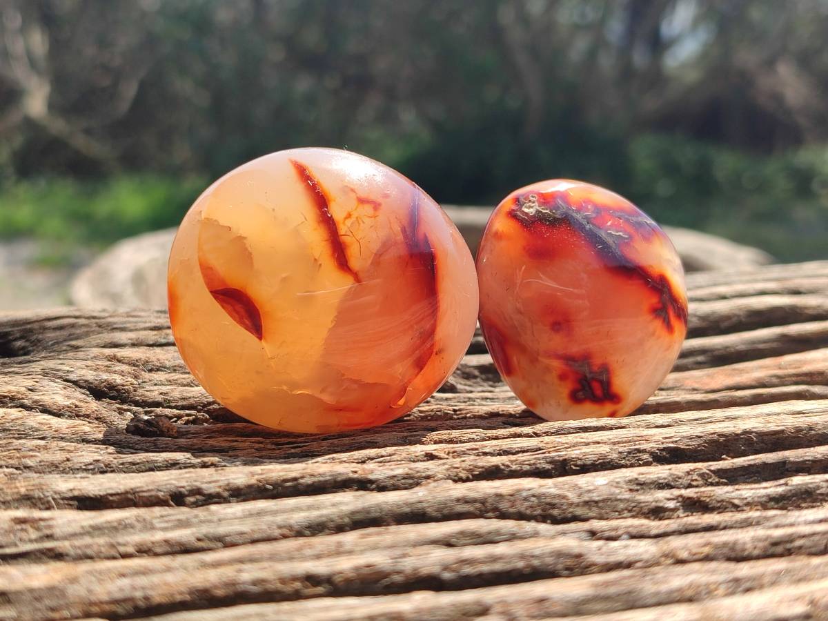Polished Carnelian Agate Gemstone Galets x 20 From Madagascar - Toprock Gemstones and Minerals 