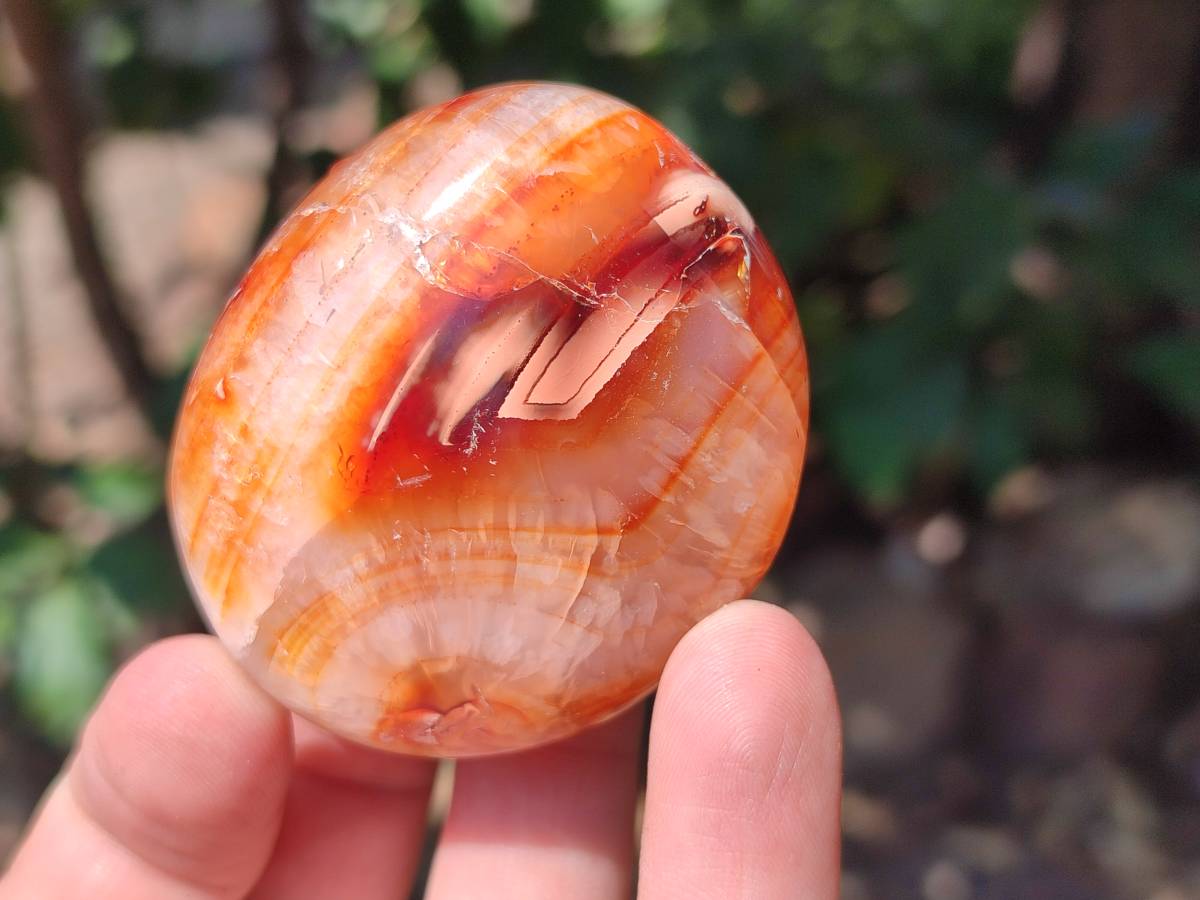 Polished Carnelian Agate Gemstone Galets x 20 From Madagascar - Toprock Gemstones and Minerals 