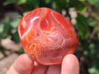 Polished Carnelian Agate Gemstone Galets x 20 From Madagascar - Toprock Gemstones and Minerals 