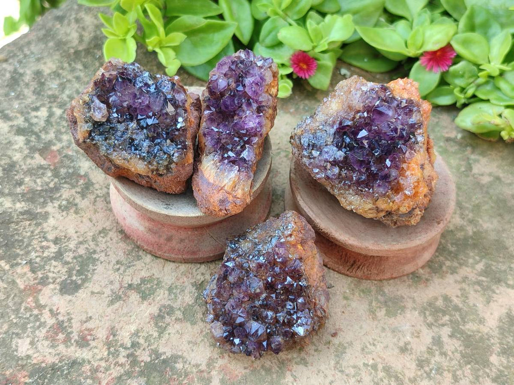Natural Amethystos Amethyst Clusters x 35 From Kwaggafontein, South Africa - Toprock Gemstones and Minerals 