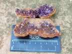 Natural Amethystos Amethyst Clusters x 35 From Kwaggafontein, South Africa - Toprock Gemstones and Minerals 