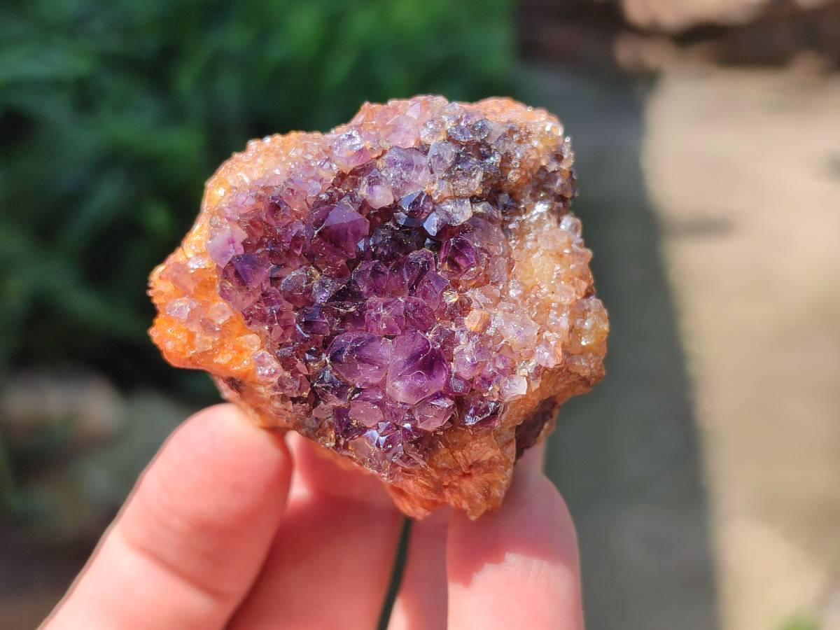 Natural Amethystos Amethyst Clusters x 35 From Kwaggafontein, South Africa - Toprock Gemstones and Minerals 