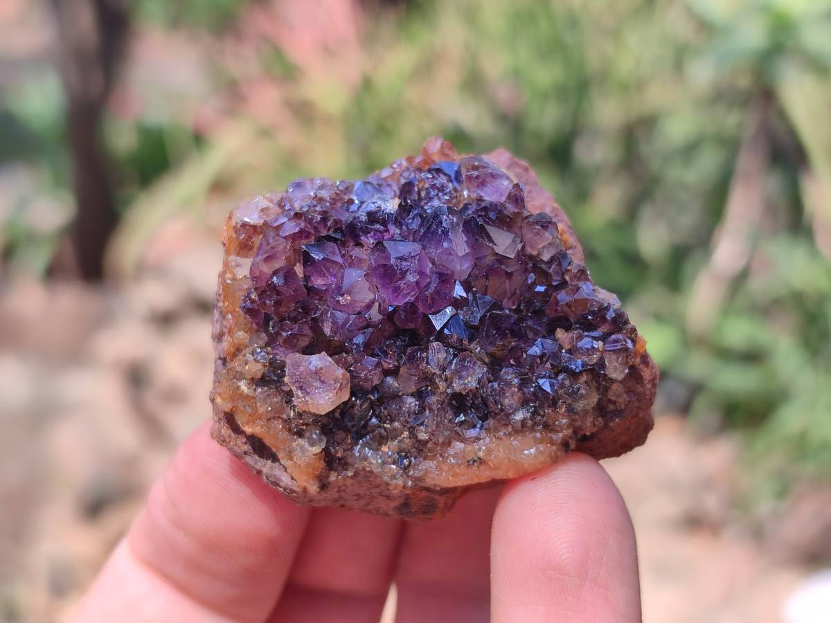 Natural Amethystos Amethyst Clusters x 35 From Kwaggafontein, South Africa - Toprock Gemstones and Minerals 