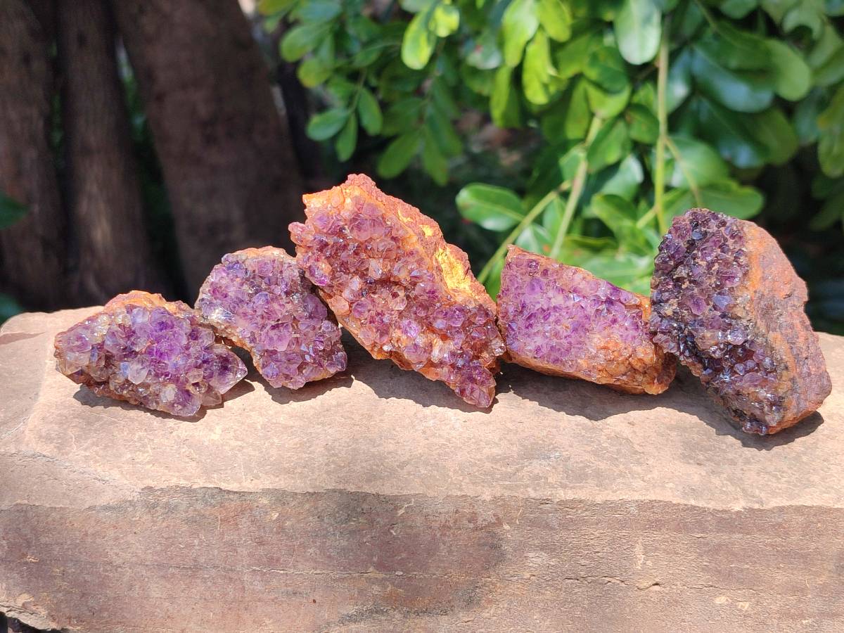 Natural Amethystos Amethyst Clusters x 35 From Kwaggafontein, South Africa - Toprock Gemstones and Minerals 