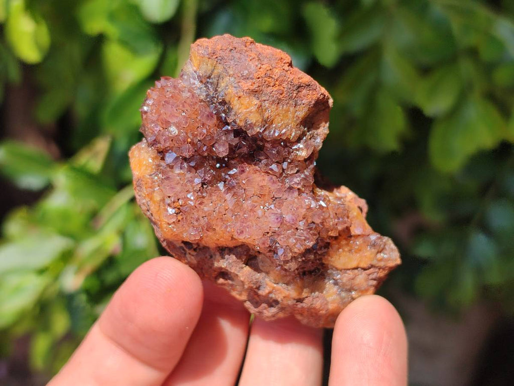 Natural Amethystos Amethyst Clusters x 35 From Kwaggafontein, South Africa - Toprock Gemstones and Minerals 