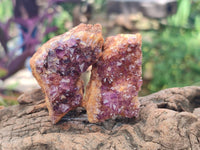 Natural Amethystos Amethyst Clusters x 35 From Kwaggafontein, South Africa