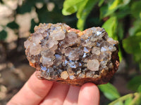 Natural Amethystos Amethyst Clusters x 35 From Kwaggafontein, South Africa