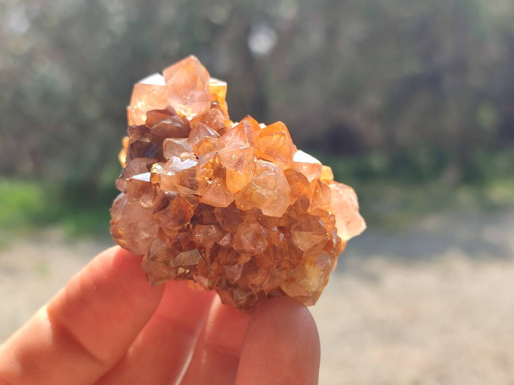 Natural Amethystos Amethyst Clusters x 35 From Kwaggafontein, South Africa - Toprock Gemstones and Minerals 