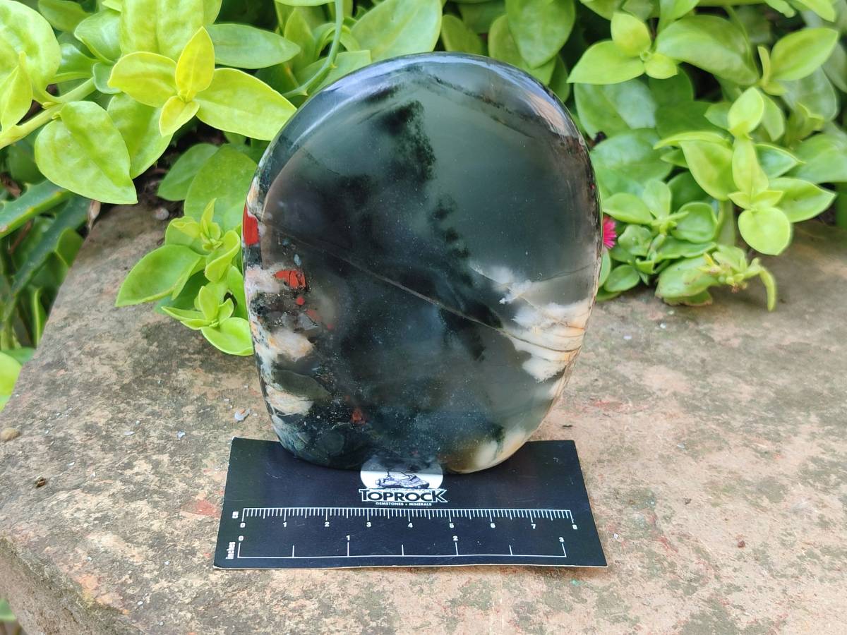 Polished Bloodstone Standing Free Forms x 3 From Swaziland - Toprock Gemstones and Minerals 