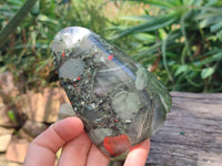 Polished Bloodstone Standing Free Forms x 3 From Swaziland