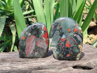 Polished Bloodstone Standing Free Forms x 3 From Swaziland