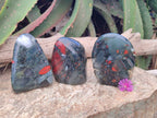 Polished Bloodstone Standing Free Forms x 3 From Swaziland - Toprock Gemstones and Minerals 