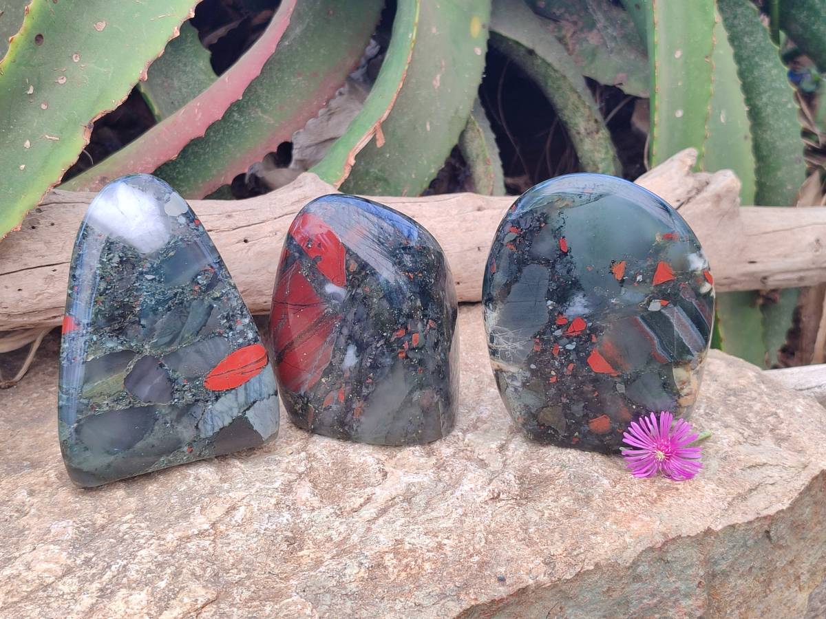Polished Bloodstone Standing Free Forms x 3 From Swaziland - Toprock Gemstones and Minerals 