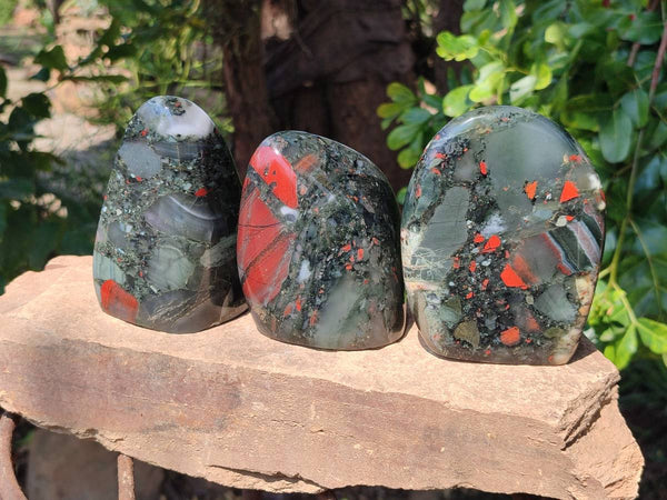 Polished Bloodstone Standing Free Forms x 3 From Swaziland