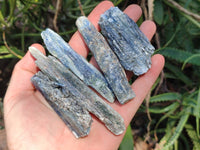 Natural Kyanite Crystals x 2.22 Kg Lot From Karoi, Zimbabwe