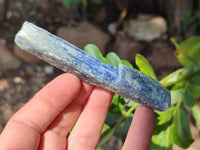 Natural Kyanite Crystals x 2.22 Kg Lot From Karoi, Zimbabwe