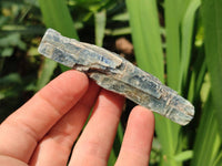Natural Kyanite Crystals x 2.22 Kg Lot From Karoi, Zimbabwe