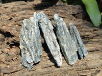 Natural Kyanite Crystals x 2.22 Kg Lot From Karoi, Zimbabwe