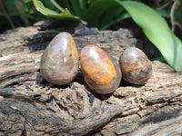 Polished Smokey Window Quartz Eggs x 35 From Madagascar