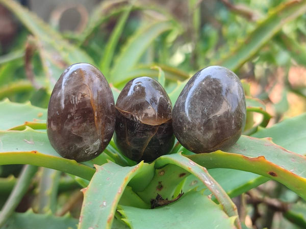 Polished Smokey Window Quartz Eggs x 35 From Madagascar