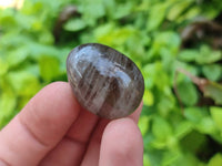 Polished Smokey Window Quartz Eggs x 35 From Madagascar