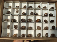 Polished Smokey Window Quartz Eggs x 35 From Madagascar