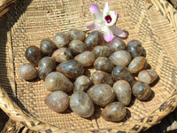 Polished Smokey Window Quartz Eggs x 35 From Madagascar