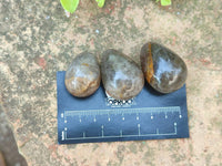 Polished Smokey Window Quartz Eggs x 35 From Madagascar