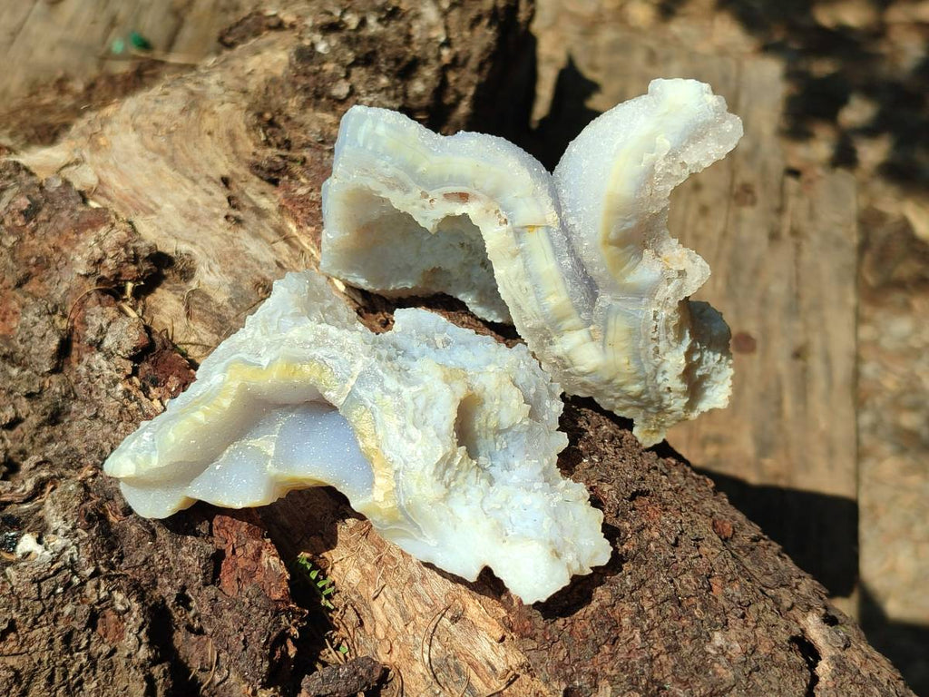 Natural Etched Blue Chalcedony Geodes x 12 From Nsanje, Malawi - Toprock Gemstones and Minerals 