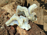 Natural Etched Blue Chalcedony Geodes x 12 From Nsanje, Malawi