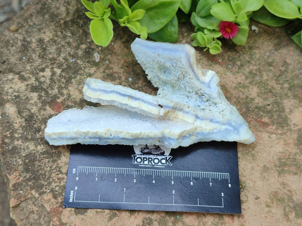 Natural Etched Blue Chalcedony Geodes x 12 From Nsanje, Malawi - Toprock Gemstones and Minerals 