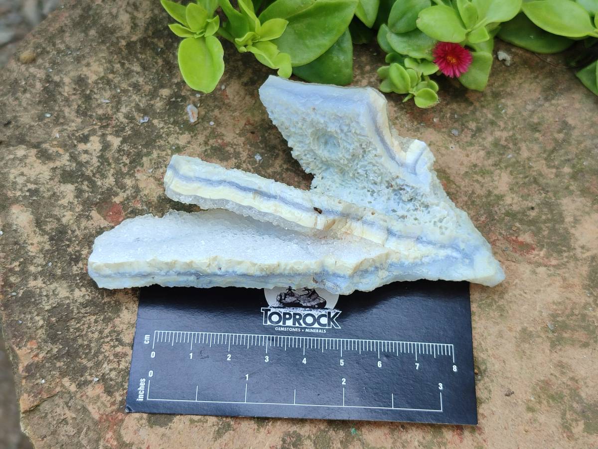 Natural Etched Blue Chalcedony Geodes x 12 From Nsanje, Malawi - Toprock Gemstones and Minerals 