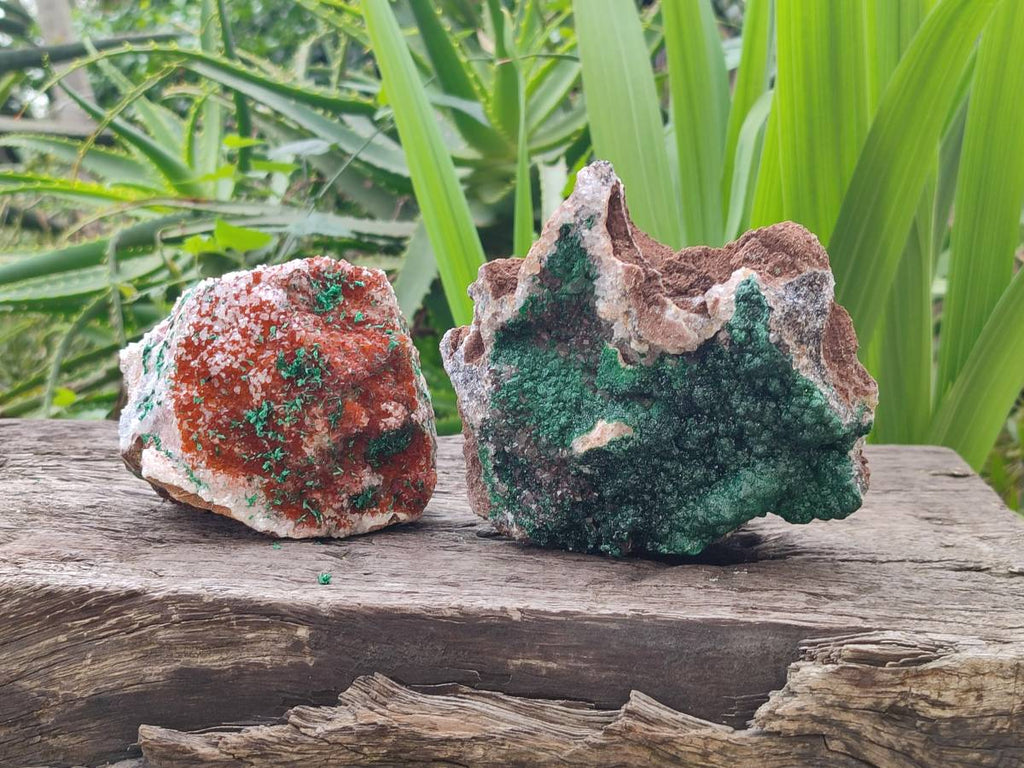 Natural Crystalline Ball Malachite and Quartz On Dolomite Matrix Specimens x 2 From Mindingi Mine, Kambove, Congo - Toprock Gemstones and Minerals 
