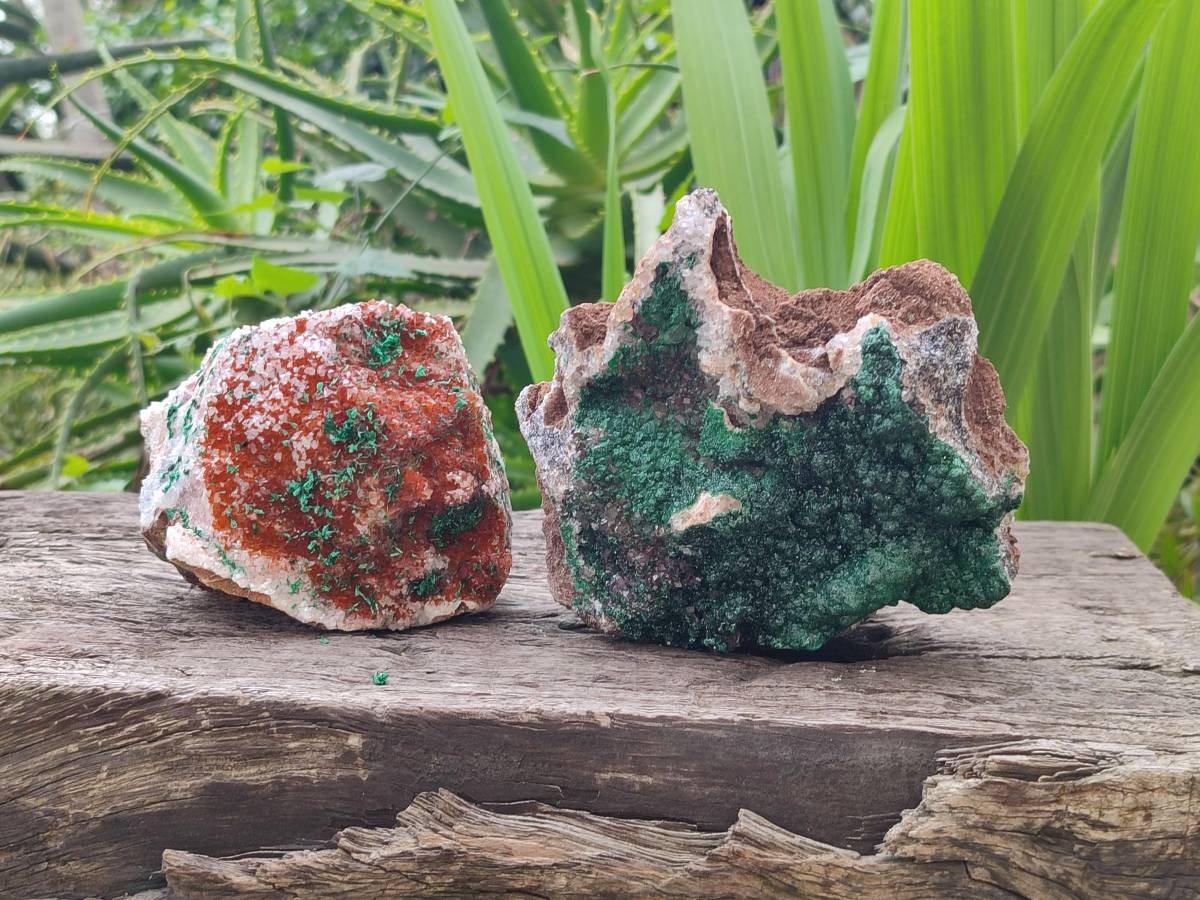 Natural Crystalline Ball Malachite and Quartz On Dolomite Matrix Specimens x 2 From Mindingi Mine, Kambove, Congo - Toprock Gemstones and Minerals 