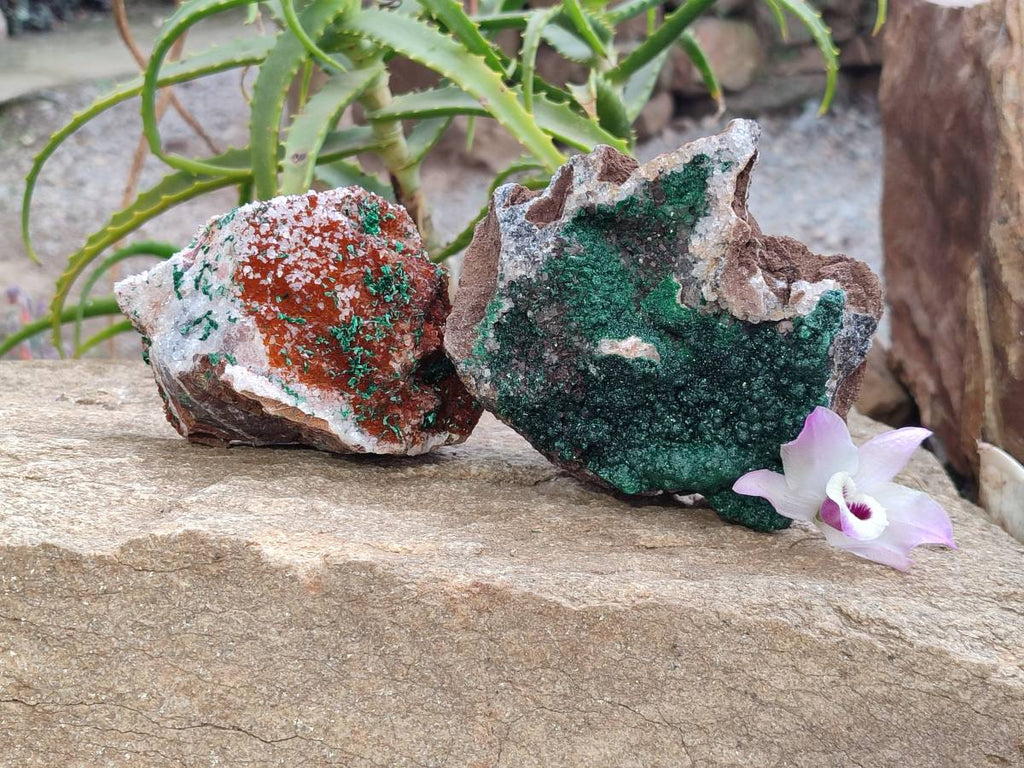 Natural Crystalline Ball Malachite and Quartz On Dolomite Matrix Specimens x 2 From Mindingi Mine, Kambove, Congo - Toprock Gemstones and Minerals 