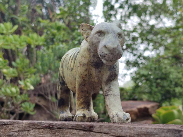 Hand Made Leopard Stone Lioness Carving x 1 From Nyanga, Zimbabwe