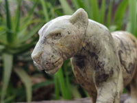 Hand Made Leopard Stone Lioness Carving x 1 From Nyanga, Zimbabwe