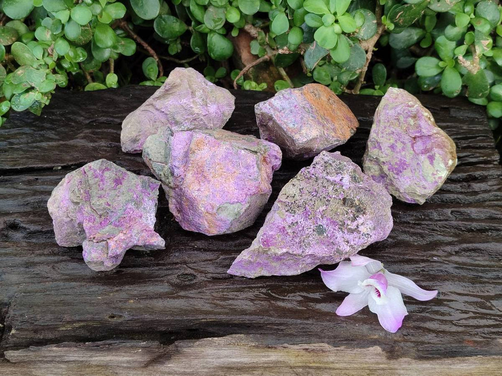 Natural Stichtite Cobbed Specimens x 6 From Barberton, South Africa - Toprock Gemstones and Minerals 