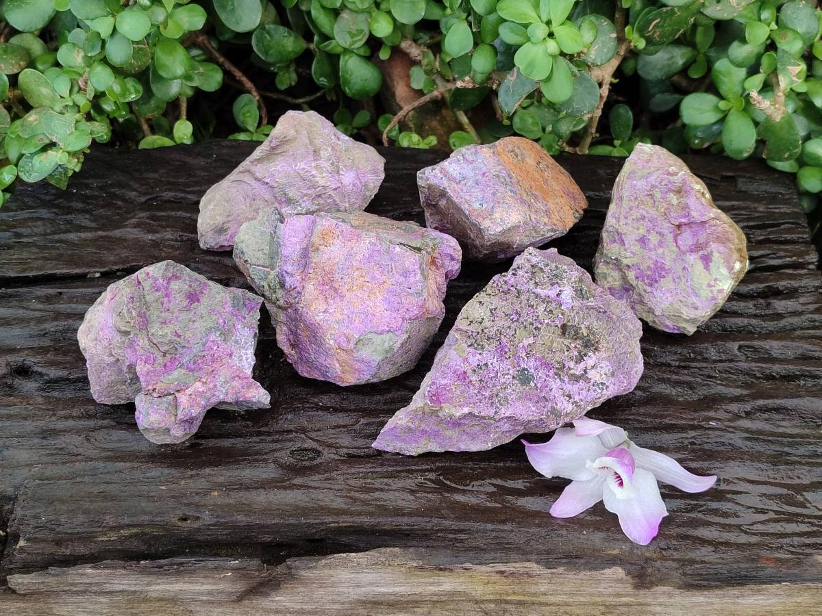 Natural Stichtite Cobbed Specimens x 6 From Barberton, South Africa - Toprock Gemstones and Minerals 