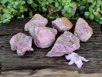 Natural Stichtite Cobbed Specimens x 6 From Barberton, South Africa