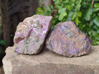 Natural Stichtite Cobbed Specimens x 6 From Barberton, South Africa